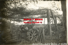 vorschau_wk-i-auris-best-of_Auris_WK_I_099_Foto_001