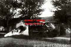 vorschau_wk-i-auris-best-of_WKI_014_-_AF_098