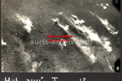 vorschau_wk-i-auris-best-of_WKI_014_-_AF_223