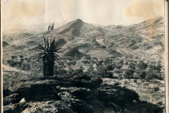 Landschaft bei Windhuk mit Aloe und Berglandschaft