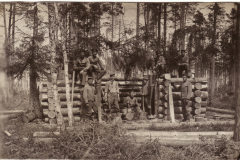 Holzfällergruppe im Wald während der Arbeit im frühen 20. Jh