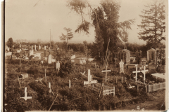 Der alte Friedhof mit verschiedenen Grabsteinen und üppigem Grün