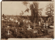Der alte Friedhof mit verschiedenen Grabsteinen und üppigem Grün