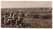 Militärparade auf dem Land mit Pferden, Soldaten und Geschützen in der Dämmerung