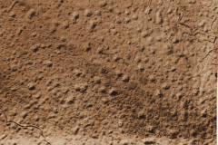AURIS Fotosammlung erster Weltkrieg