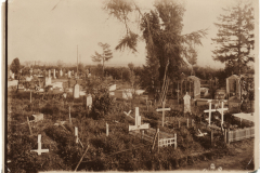 Der alte Friedhof mit verschiedenen Grabsteinen und üppigem Grün