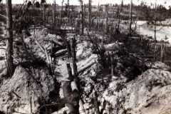 Kriegsgraben im verwüsteten Wald nach einem heftigen Gefecht