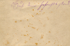 Ein altes Papier mit handschriftlichen Notizen und vergilbten Flecken