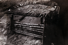 Ein geheimnisvoller Bunker aus dem Ersten Weltkrieg in einem Waldgebiet