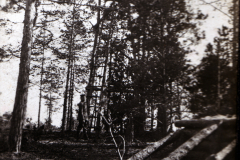 Ein Waldarbeiter arbeitet im Wald bei Sonnenlicht in den frühen 1900er Jahren