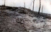Zerklüftete Landschaft mit kahlgeschlagenen Bäumen nach dem Krieg