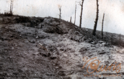 Zerklüftete Landschaft mit kahlgeschlagenen Bäumen nach dem Krieg