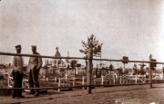 AURIS Fotosammlung erster Weltkrieg