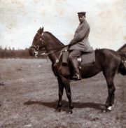 Ein Soldat auf einem Pferd in der Natur während des Ersten Weltkriegs
