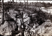 Kriegsgraben im verwüsteten Wald nach einem heftigen Gefecht