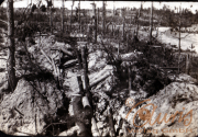 Kriegsgraben im verwüsteten Wald nach einem heftigen Gefecht