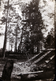 Ein Waldarbeiter arbeitet im Wald bei Sonnenlicht in den frühen 1900er Jahren