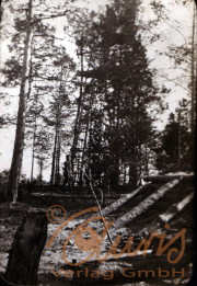 Ein Waldarbeiter arbeitet im Wald bei Sonnenlicht in den frühen 1900er Jahren