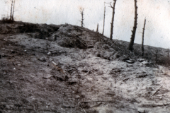 Zerklüftete Landschaft mit kahlgeschlagenen Bäumen nach dem Krieg