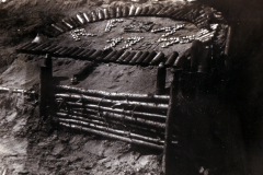 Ein geheimnisvoller Bunker aus dem Ersten Weltkrieg in einem Waldgebiet