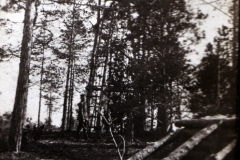 Ein Waldarbeiter arbeitet im Wald bei Sonnenlicht in den frühen 1900er Jahren
