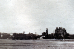 Grünes Feld mit Bäumen und einem kleinen Gebäude in der Ferne im Morgengrauen