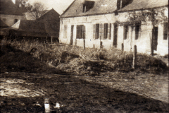 Ein historisches Bauernhaus mit Garten im Morgengrauen in Deutschland