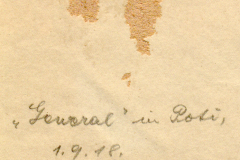 Historisches Dokument „General“ aus Poli, 1. September 1918