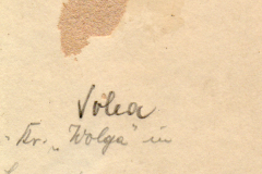 Ein handgeschriebenes Dokument über die Volga in Lewasjkopol am 28. Juli 1918