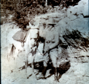 Ein reizvolles Reiterabenteuer in der Natur mit Pferd und Reiter
