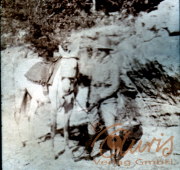 Ein reizvolles Reiterabenteuer in der Natur mit Pferd und Reiter