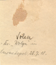 Ein handgeschriebenes Dokument über die Volga in Lewasjkopol am 28. Juli 1918