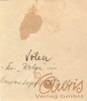 Ein handgeschriebenes Dokument über die Volga in Lewasjkopol am 28. Juli 1918