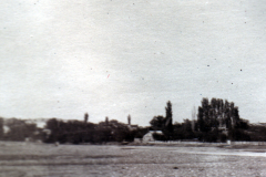 Grünes Feld mit Bäumen und einem kleinen Gebäude in der Ferne im Morgengrauen