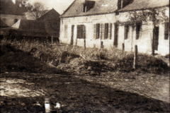 Ein historisches Bauernhaus mit Garten im Morgengrauen in Deutschland