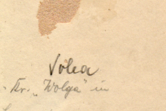 Ein handgeschriebenes Dokument über die Volga in Lewasjkopol am 28. Juli 1918