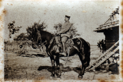 Ein Reiter auf einem Pferd vor einem ländlichen Hintergrund in der Dämmerung