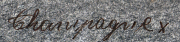 Detailaufnahme eines kalligrafischen Schriftzugs auf grauem Hintergrund
