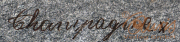 Detailaufnahme eines kalligrafischen Schriftzugs auf grauem Hintergrund