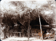 Ein historisches Blockhaus in der Natur mit Personen im Hintergrund