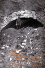 Mann steht vor einem historischen Steinbogen in den Bergen