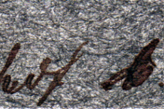 Bedeutung des Schreibens auf einem alten Stein in einer ruhigen Umgebung