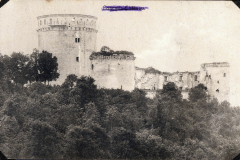 Festungsruine an der Westfront mit umgebenden Bäumen und Vegetation