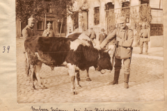 Deutscher Soldaten mit Kuh