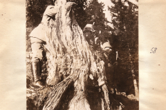 Deutscher Soldat bei Baumstamm