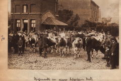 Milk delivery in war-time Belgium