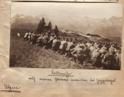 Salzmannfer