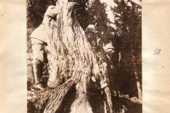 Deutscher Soldat bei Baumstamm