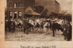 Milk delivery in war-time Belgium