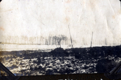 Trichterfeld in Somme während des Ersten Weltkriegs mit kahlen Bäumen und unbebautem Gelände